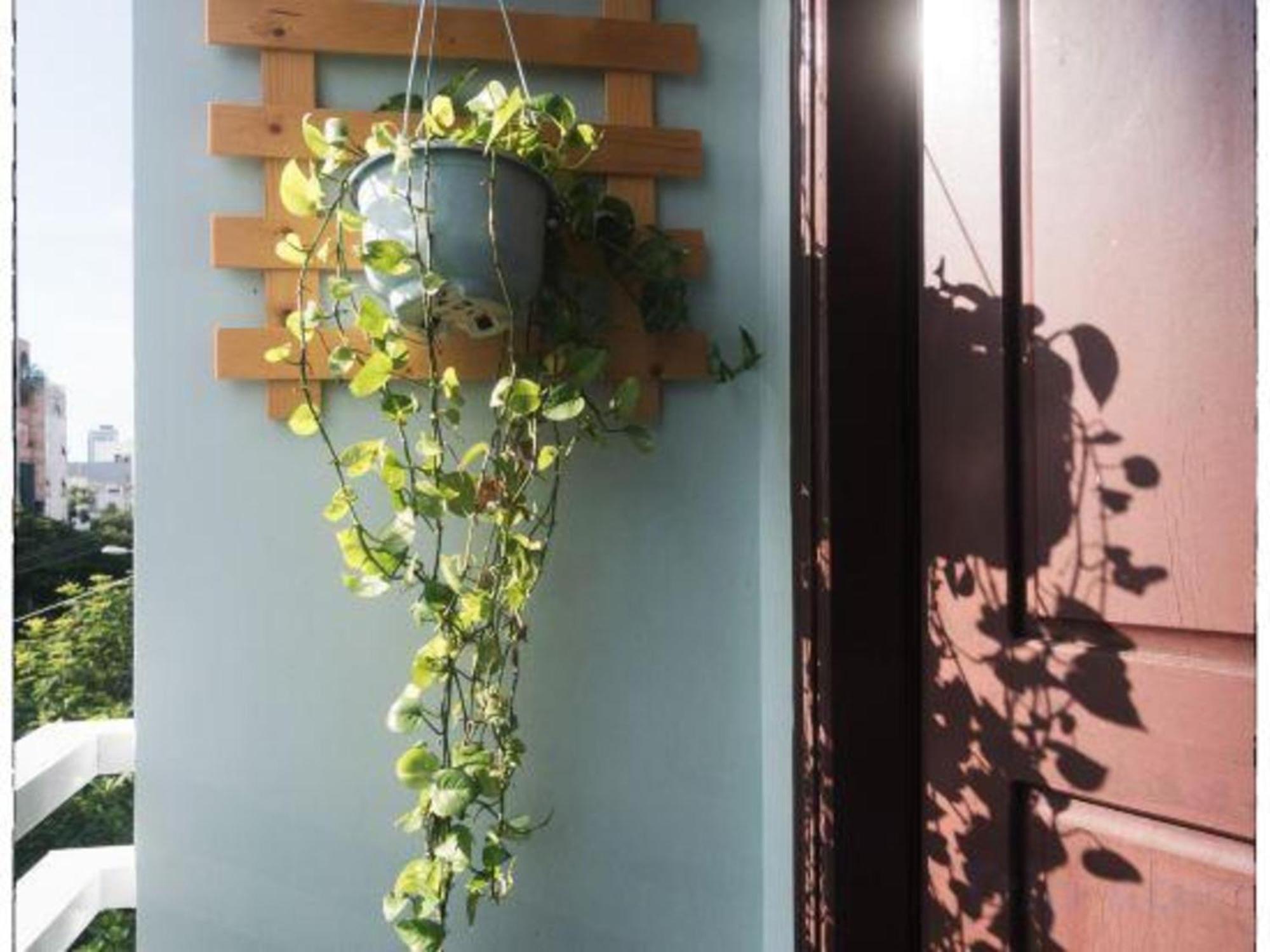 Oyo 1168 Elly'S Home 2 ดานัง ภายนอก รูปภาพ
