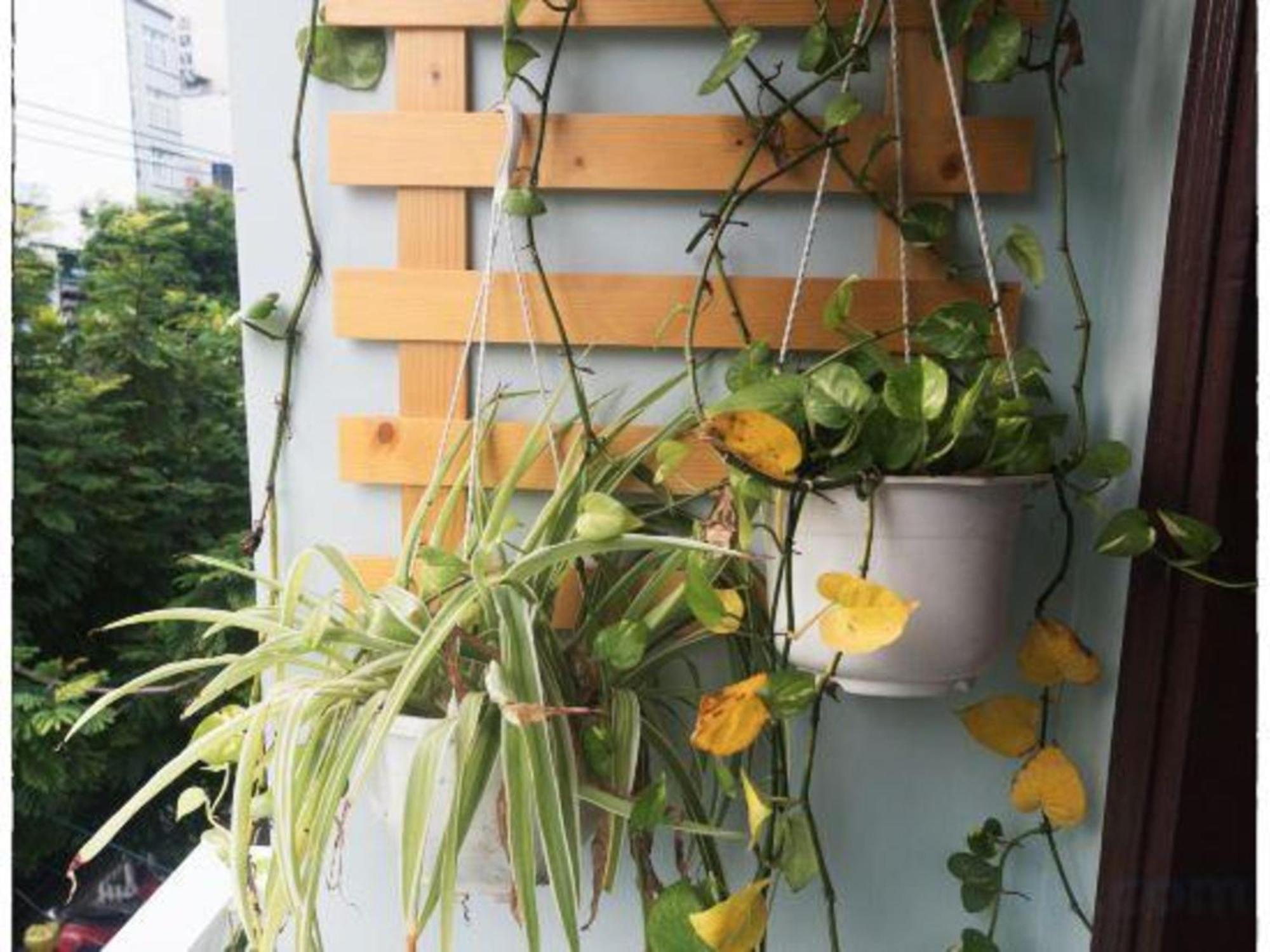 Oyo 1168 Elly'S Home 2 ดานัง ภายนอก รูปภาพ